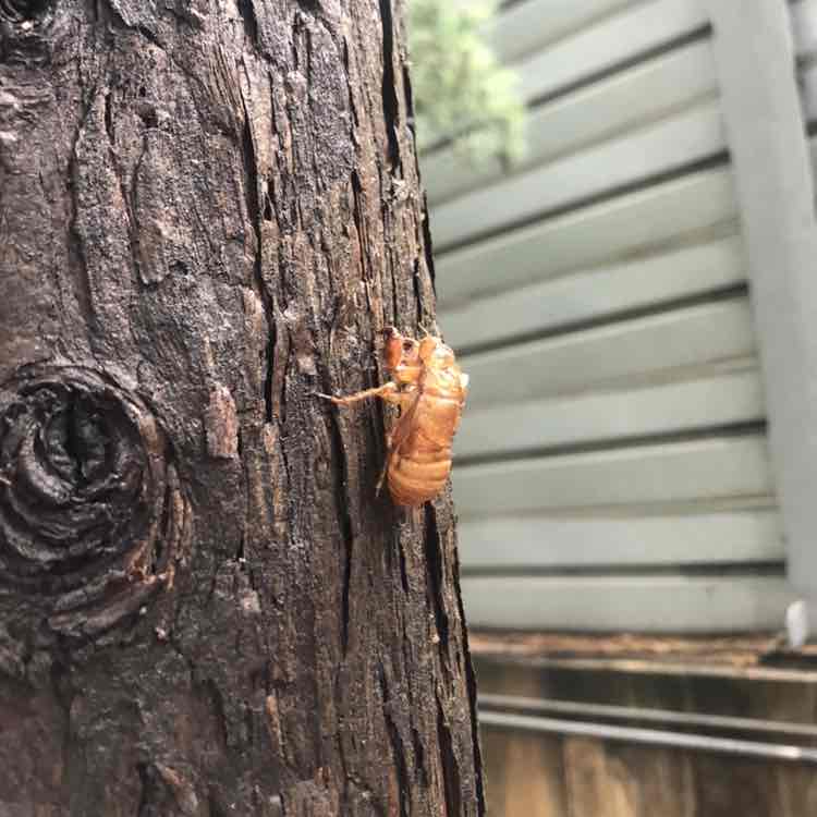 다시 해 보자 post 2