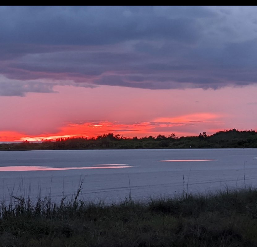 vince the leader profile