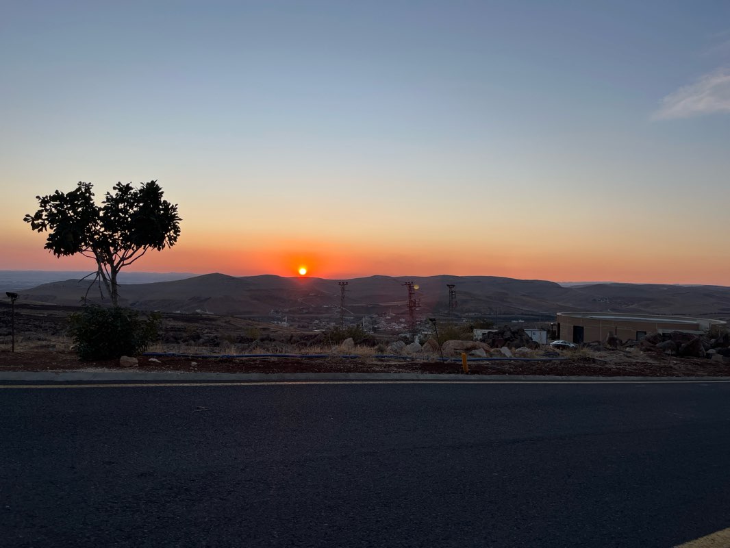walking near me in Mimar Sinan Kültür Parkı in autumn