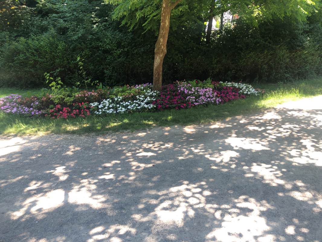 walking near me in Freibad Unterrombach in summer