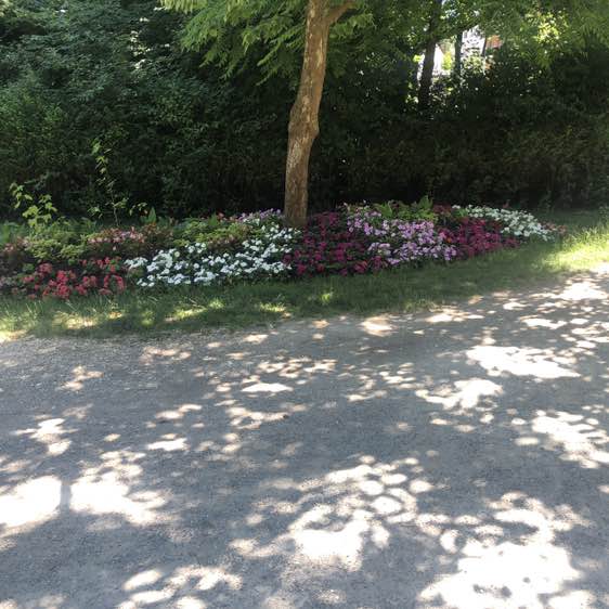 Fit über 50 Turgay  post image