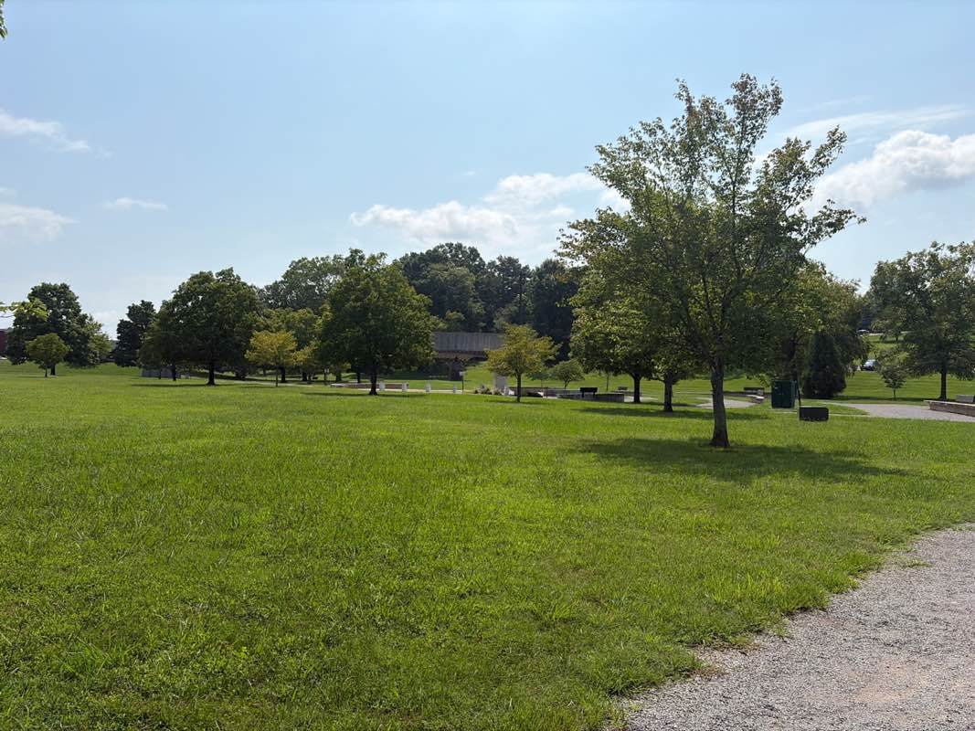 walking near me in A.K.Bissell Park in summer
