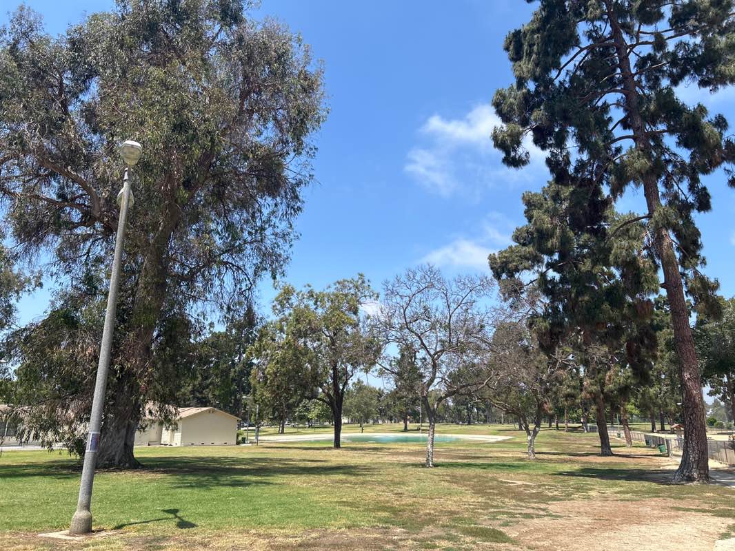 walking near me in Recreation Park in summer