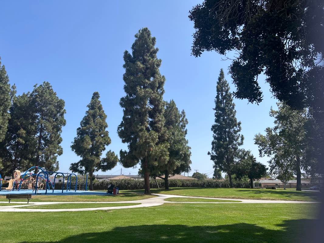 walking near me in San Marino Park in summer