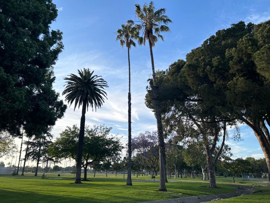 walking near me in Maxwell Park in summer