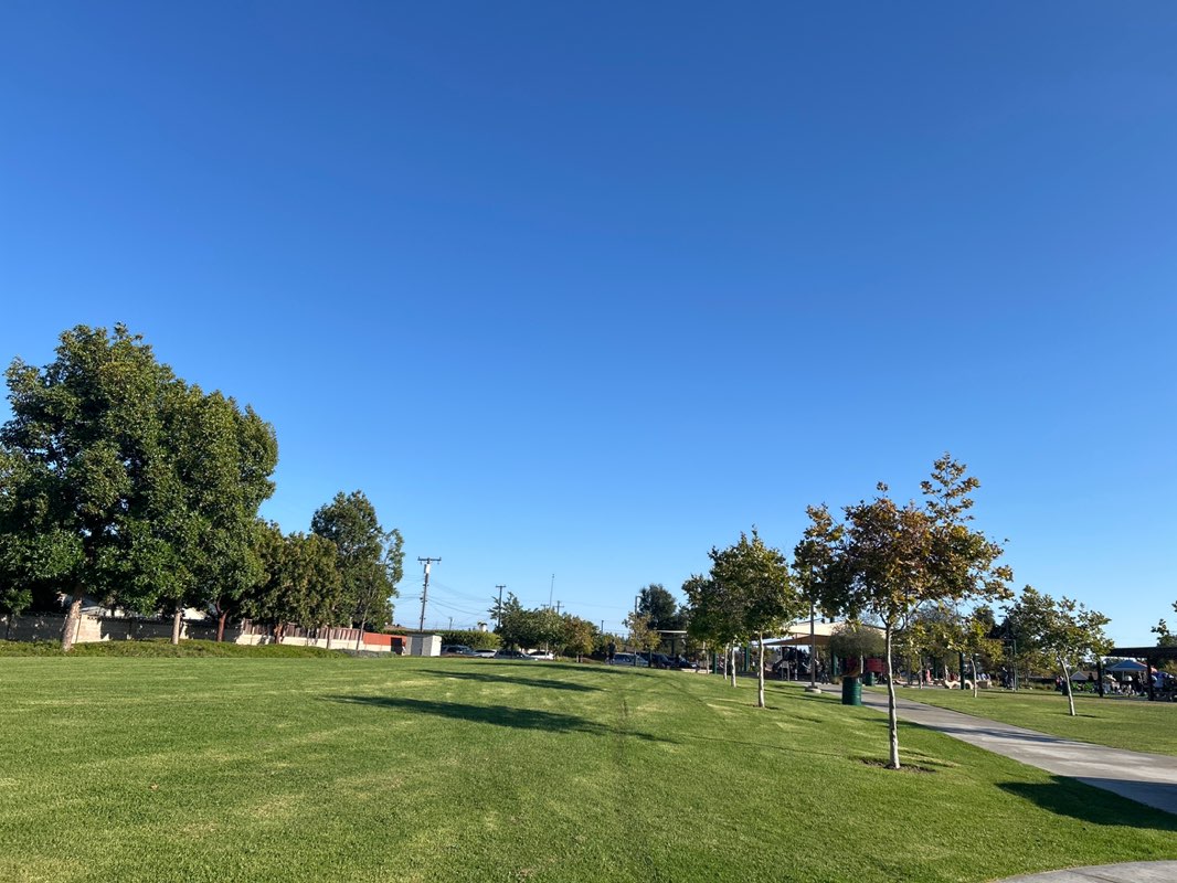 walking near me in Larwin Park in autumn
