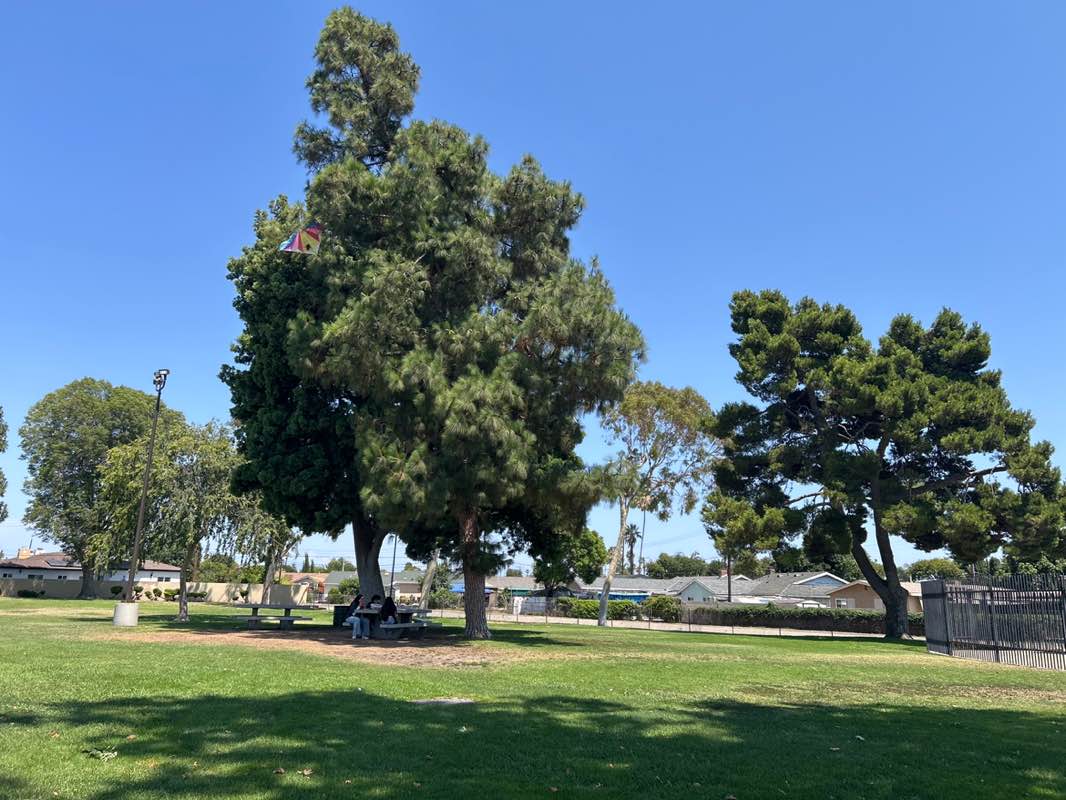 walking near me in Magnolia Park in autumn