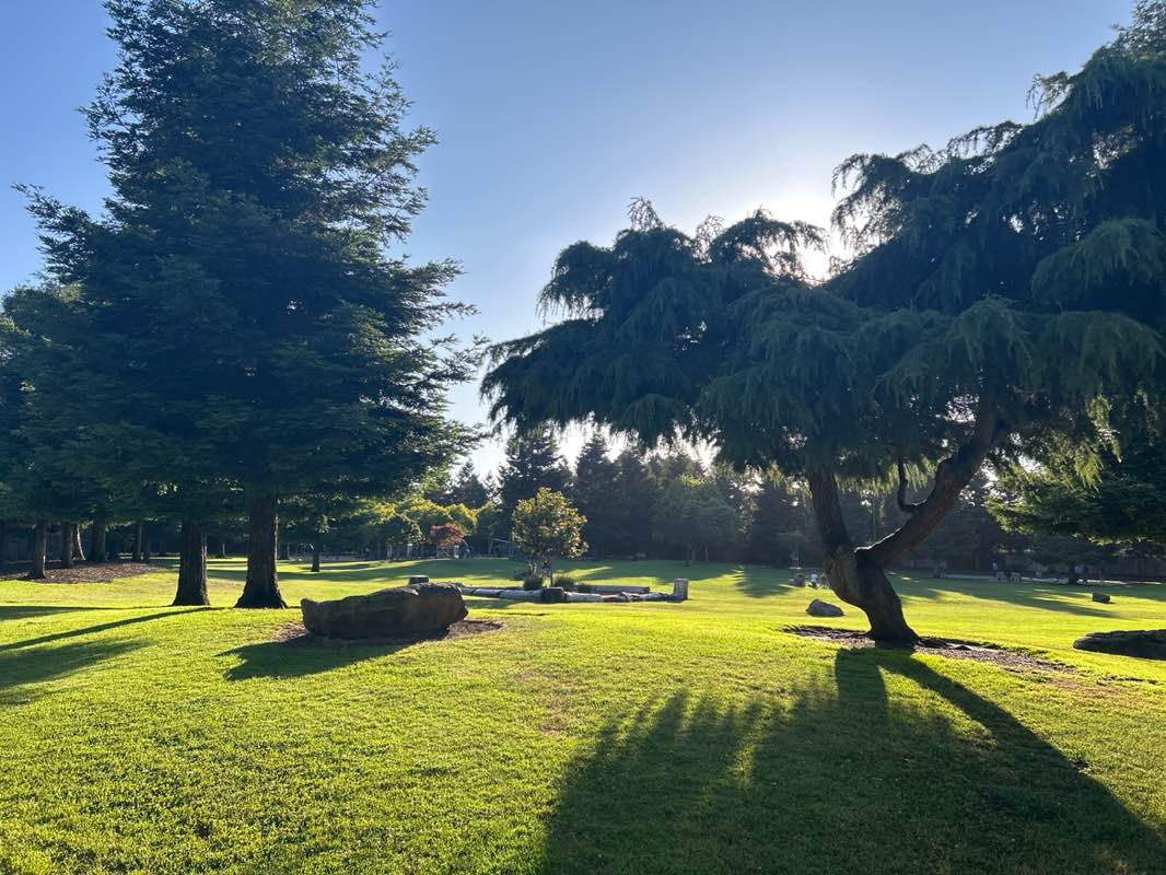 walking near me in Halcyon Park in summer