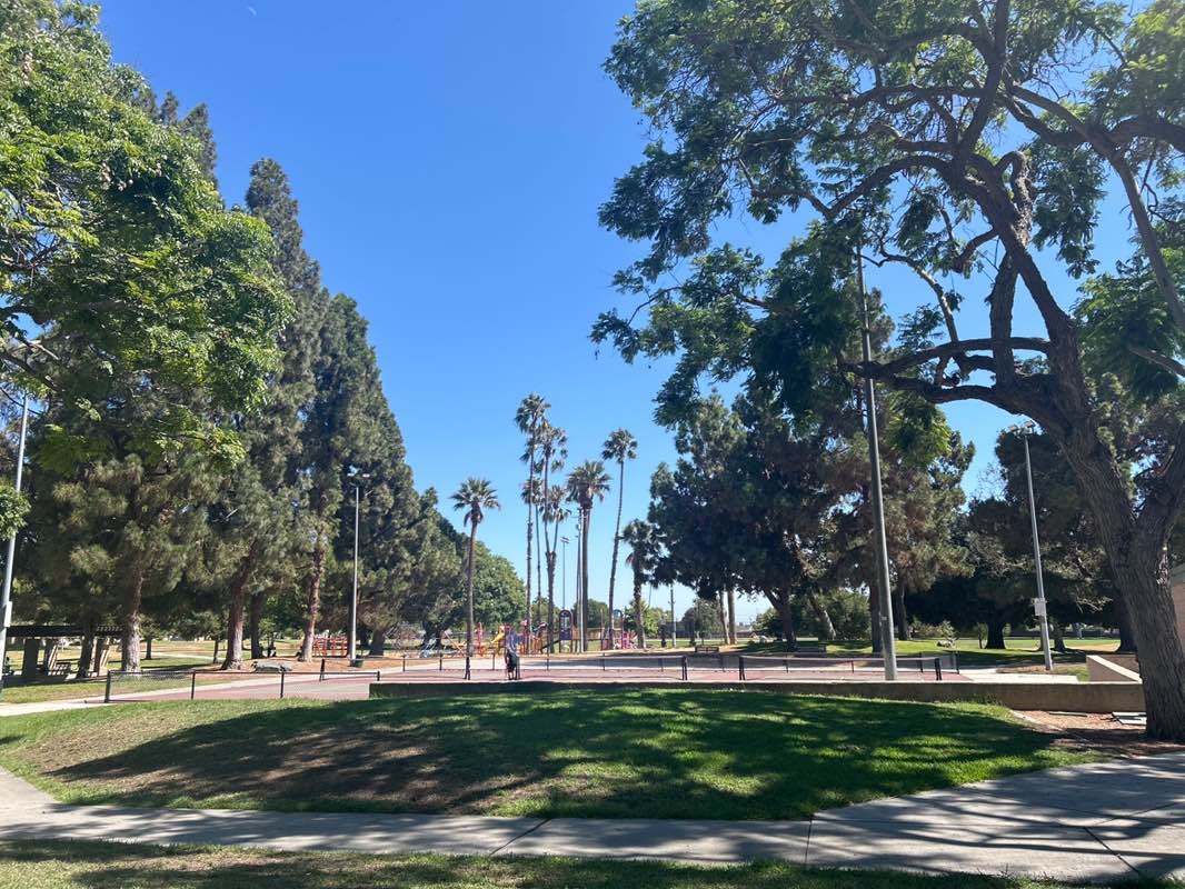 walking near me in Twila Reid Park in autumn