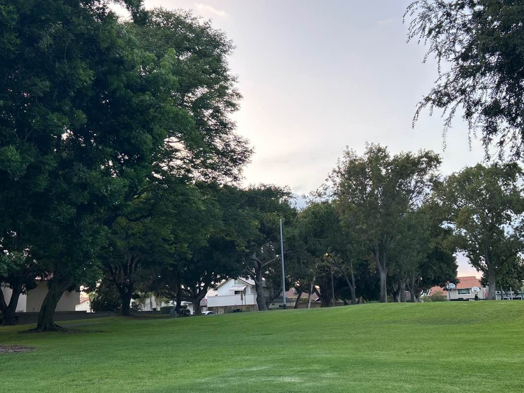 walking near me in Pinewood Park in autumn