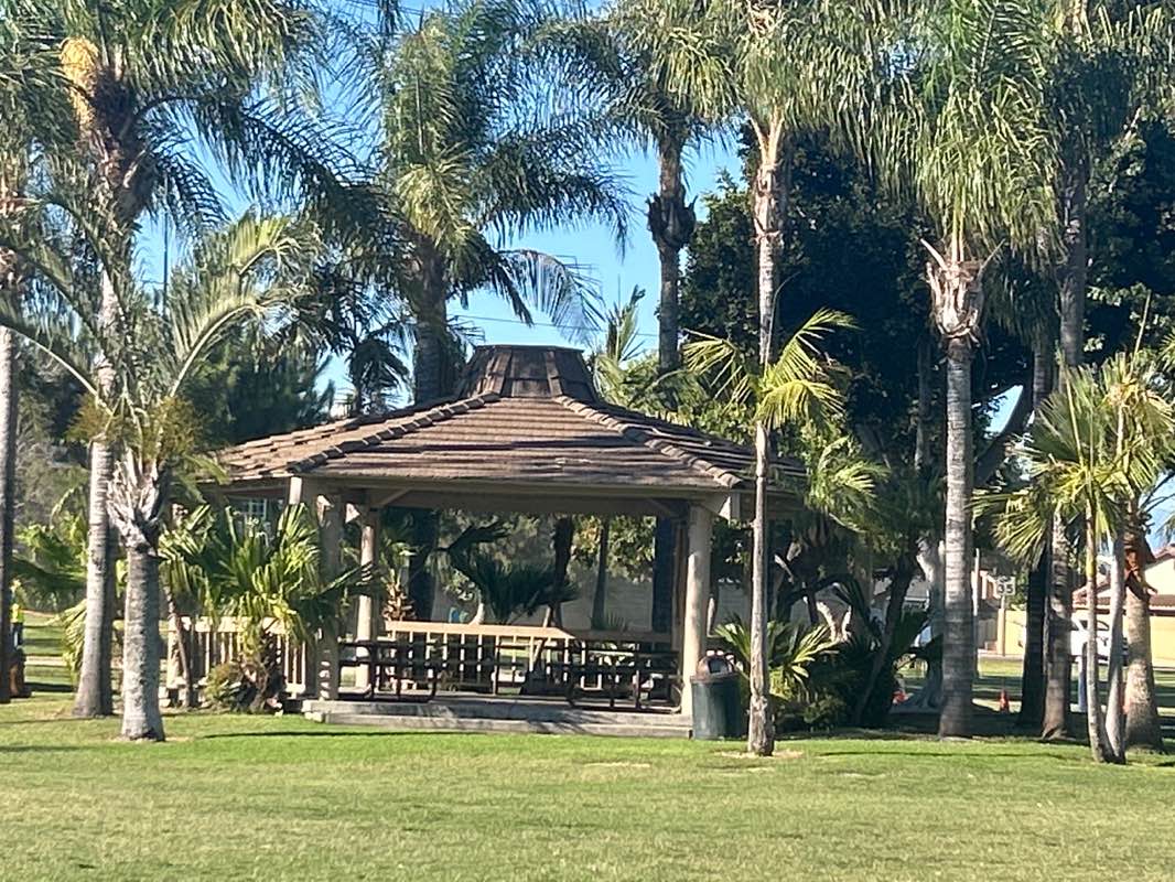 walking near me in Central Park in autumn