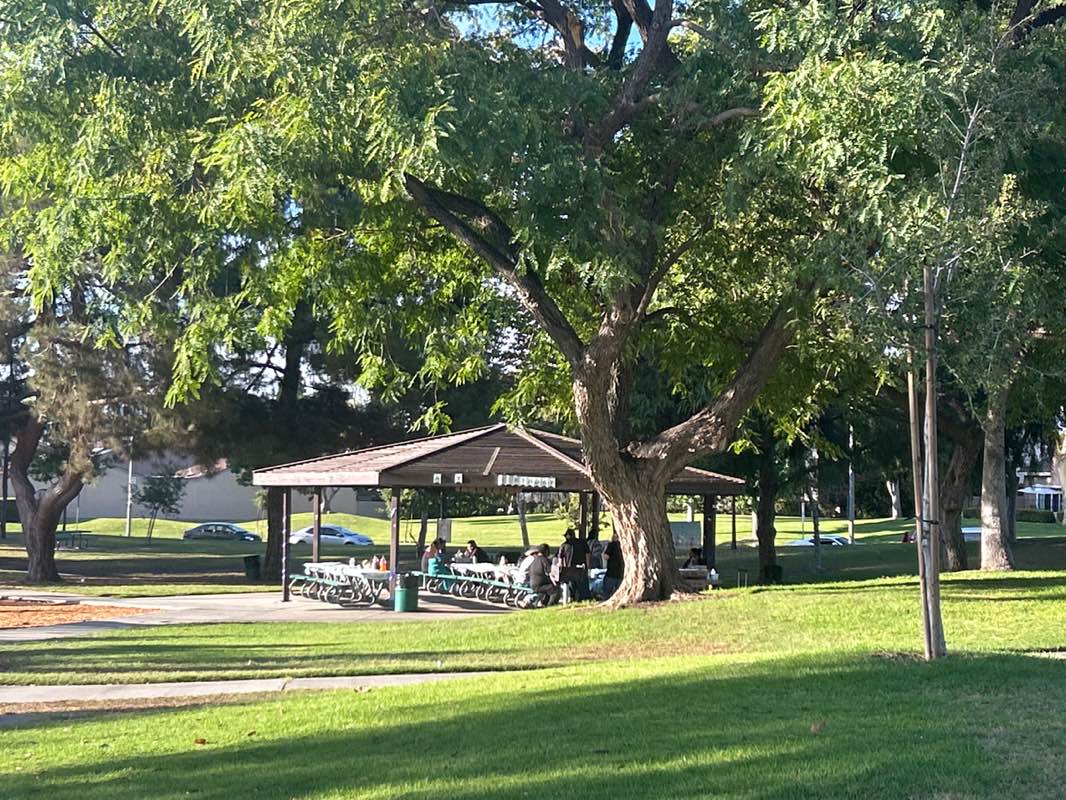 walking near me in John Marshall Park in autumn