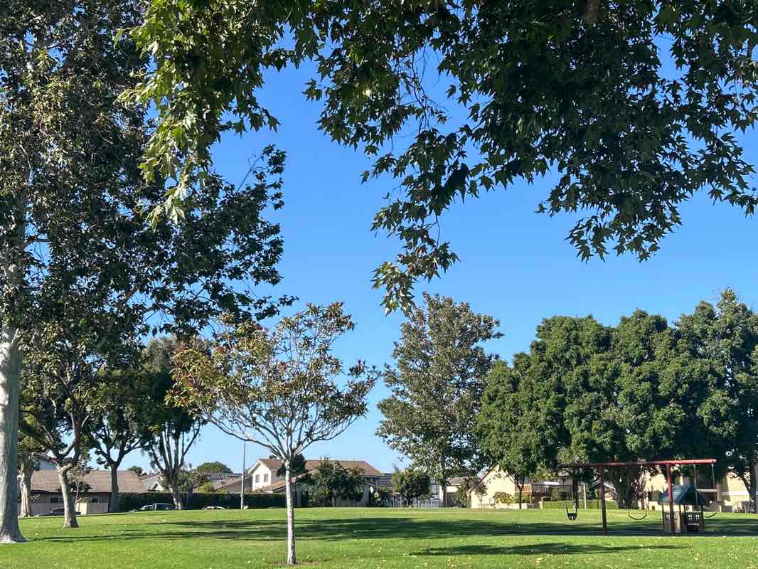 walking near me in Maple Grove Park North in autumn