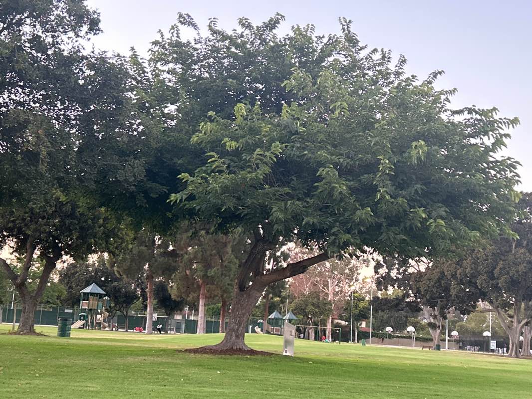 walking near me in Boisseranc Park in autumn