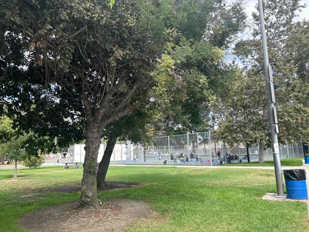 walking near me in Dolphin Park in autumn