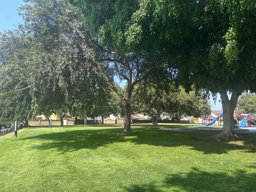 walking near me in Evergreen Park in autumn