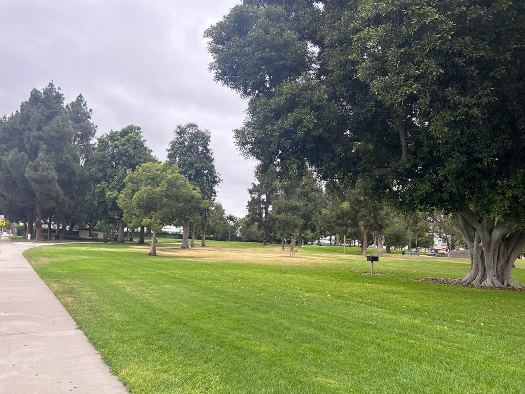walking near me in Modjeska Park in autumn