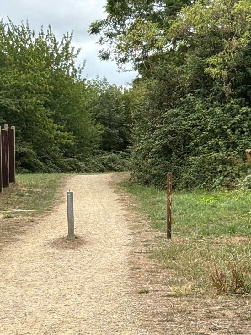 walking near me in Fieldcourt Drive Open Space in summer