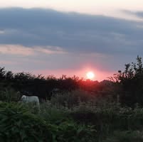 Philomena Farrelly profile