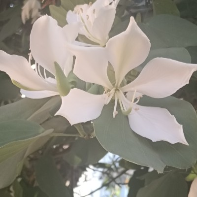 camina contigo 🥰🌻 camina contigo 🥰🌻 post image