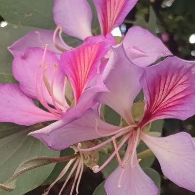 camina contigo 🥰🌻 camina contigo 🥰🌻 post image