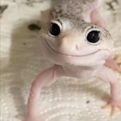 Yeyo-(⁠◍⁠•⁠ᴗ⁠•⁠◍⁠)⁠❤-Myrna♥ post 3