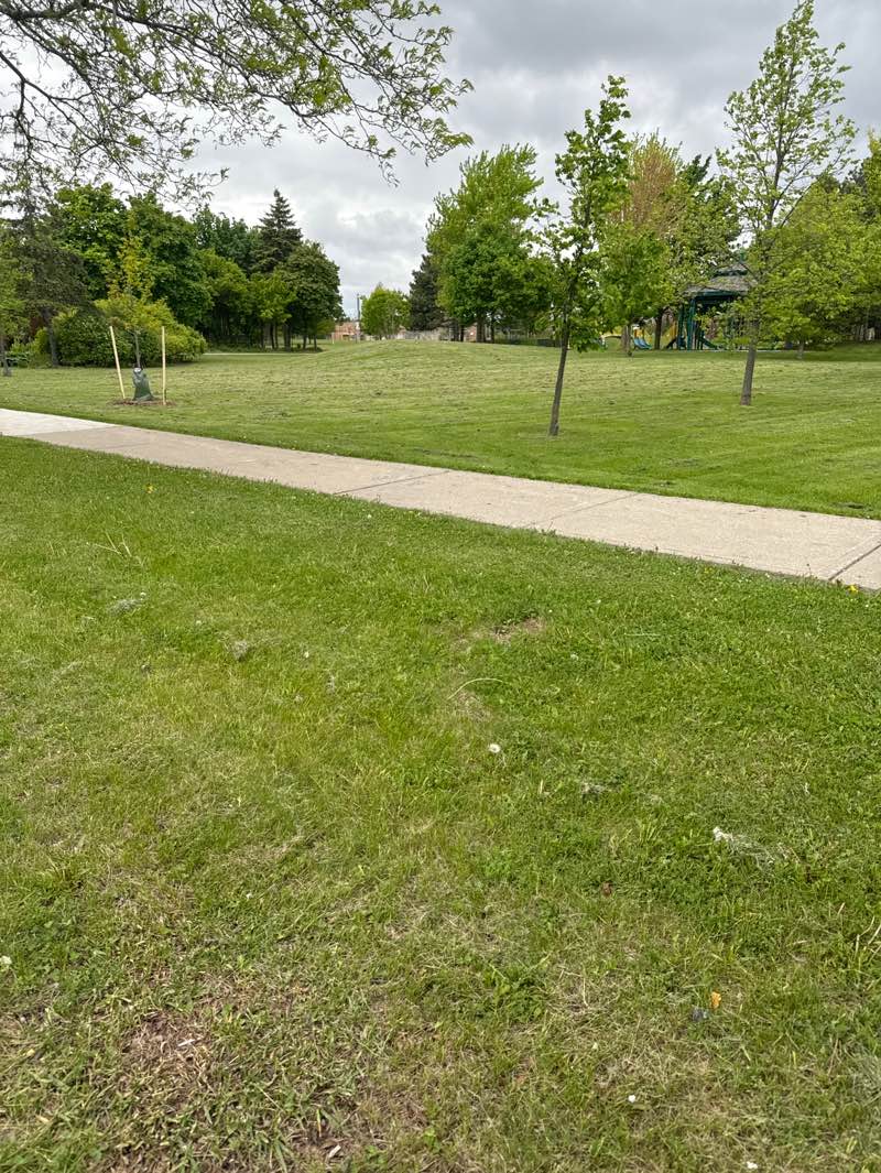 walking near me in Major William Sharpe Park in spring