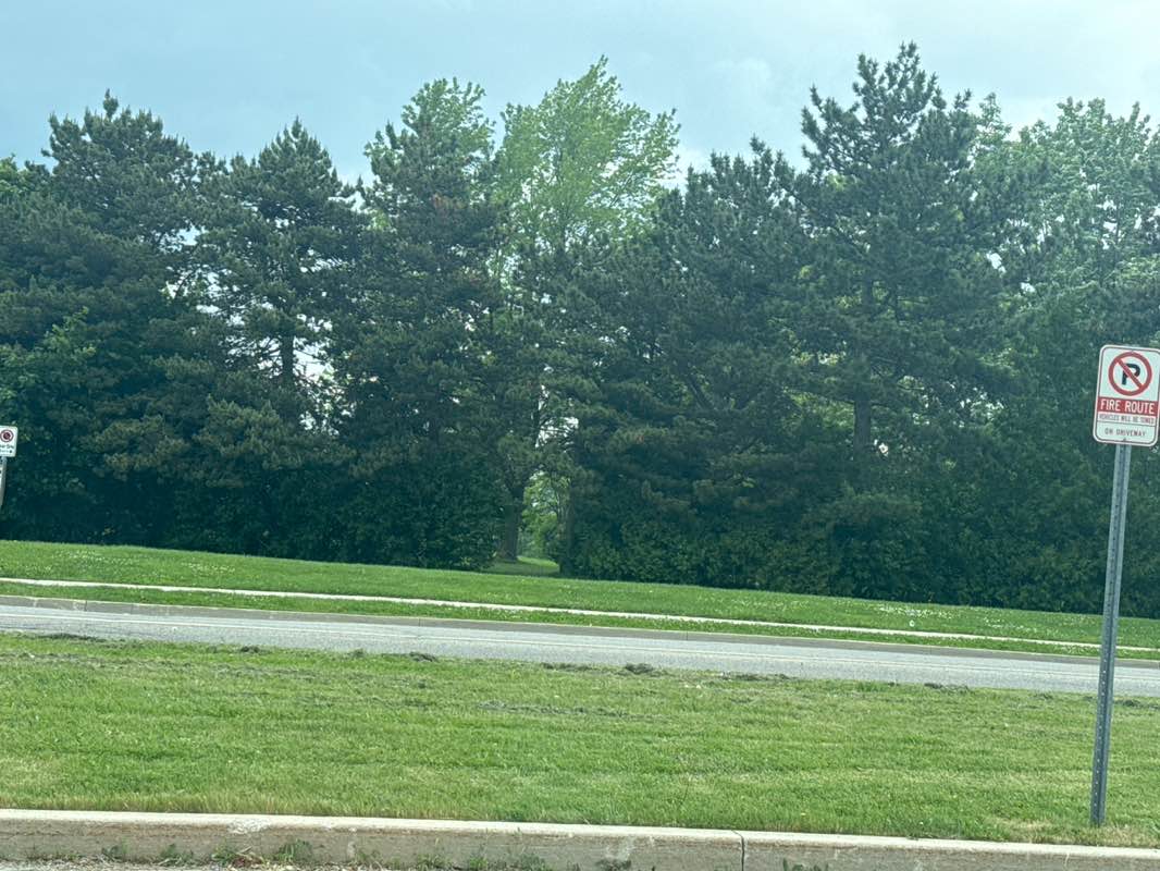 walking near me in Flower City Community Campus in summer