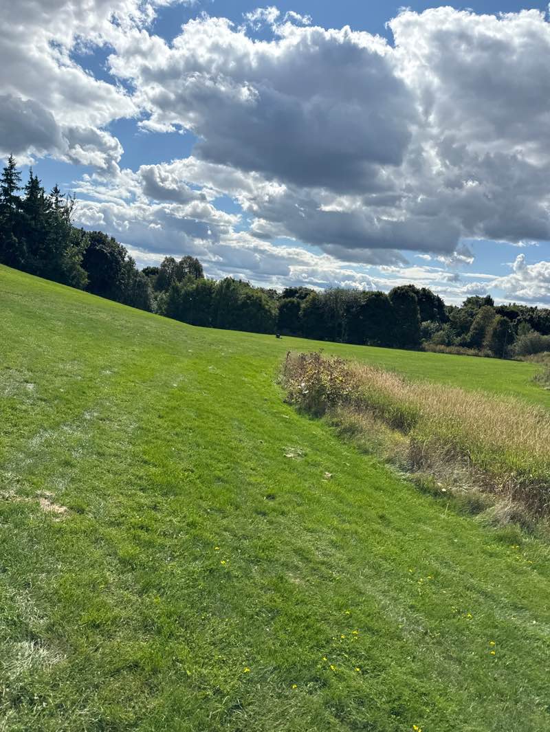 walking near me in Donald M. Gordon Chinguacousy Park in autumn