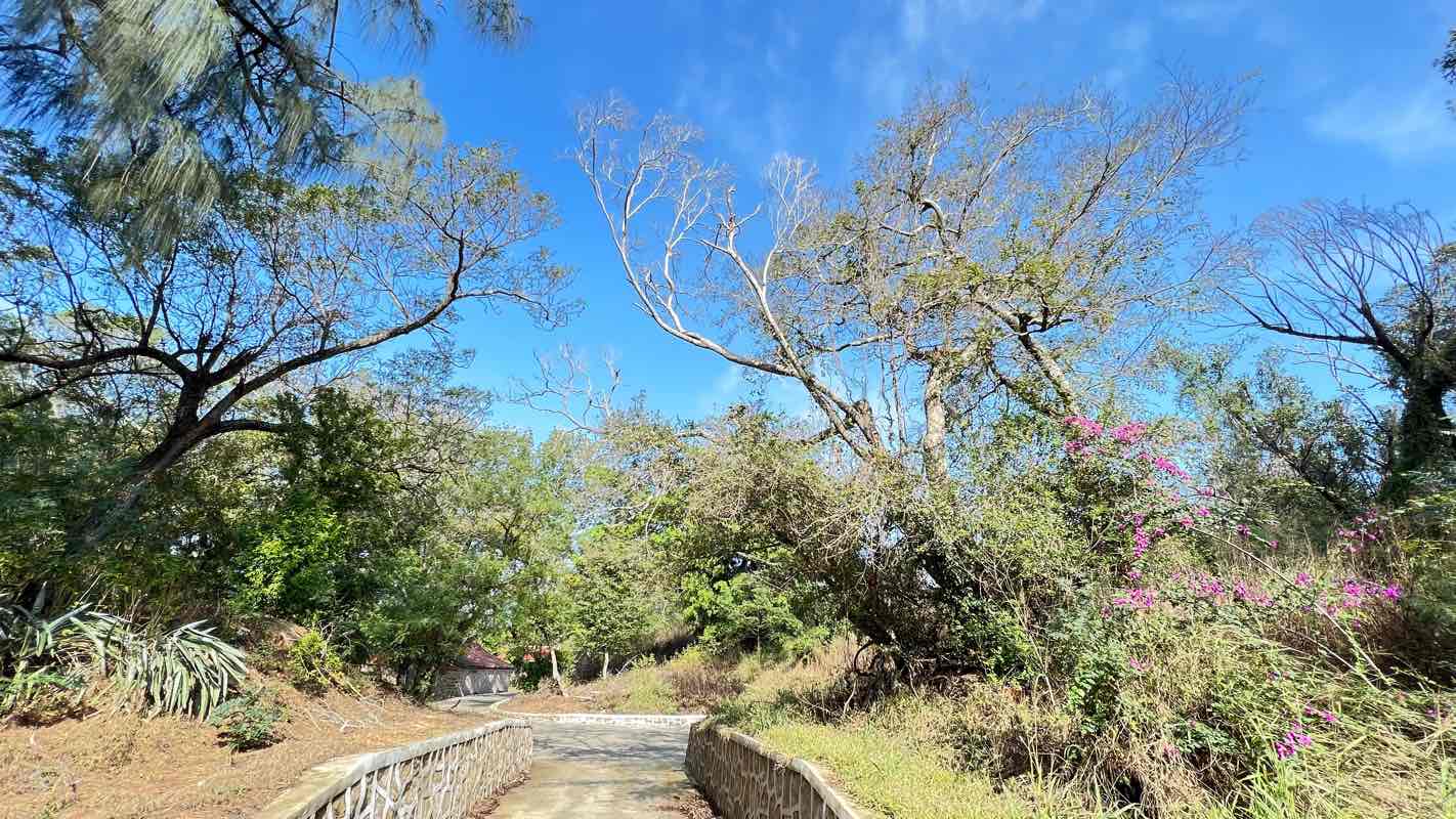 walking near me in Zhongzheng Park in winter