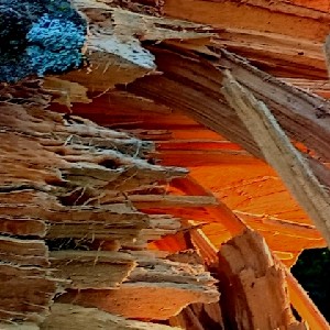 kmoore0519@gmail.com