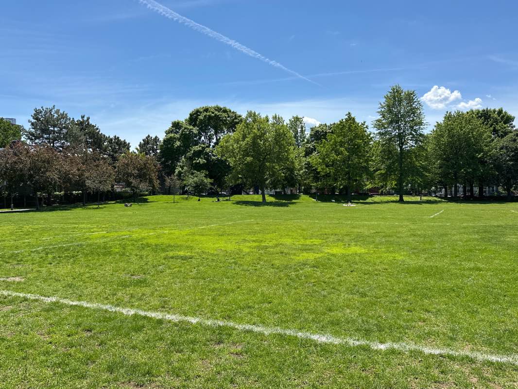 walking near me in Gore Park in spring