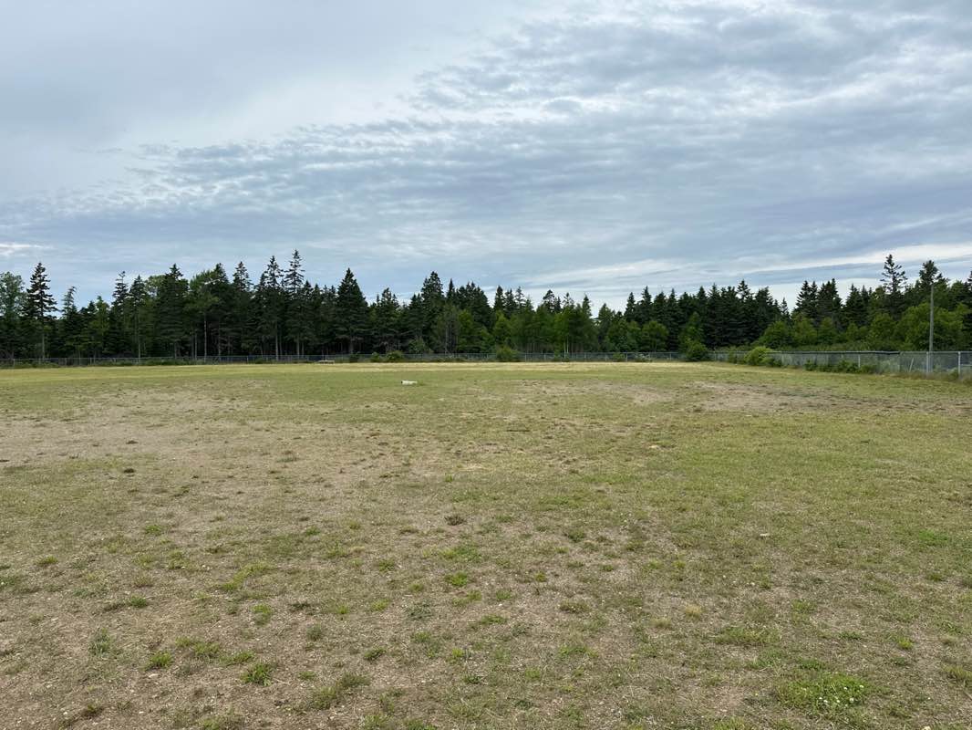 walking near me in Windsor Park in summer