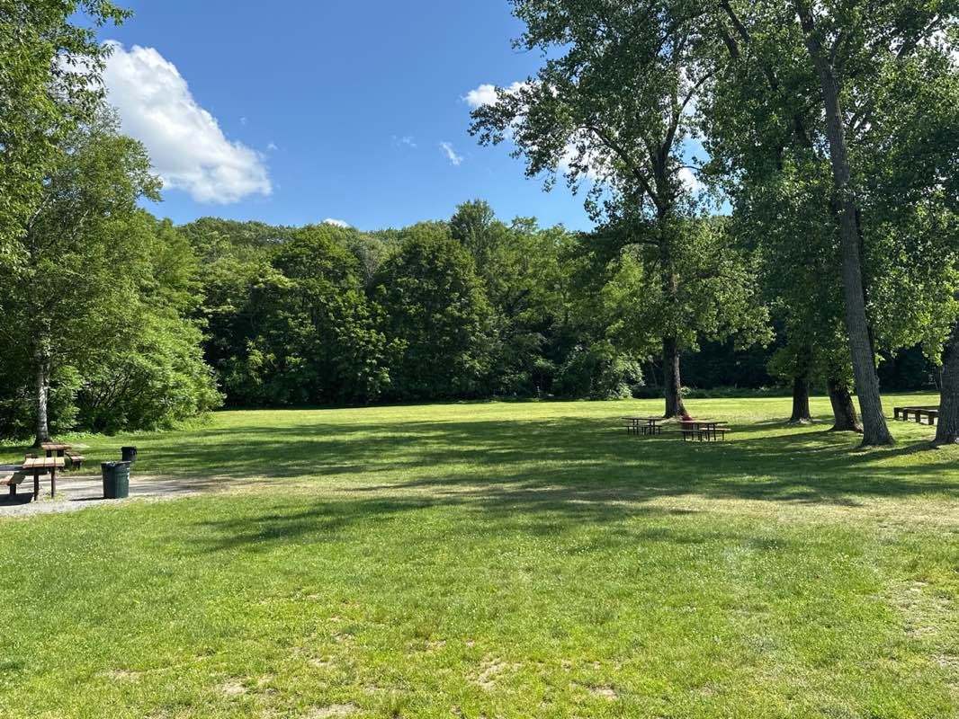 walking near me in Greenwood Park in summer