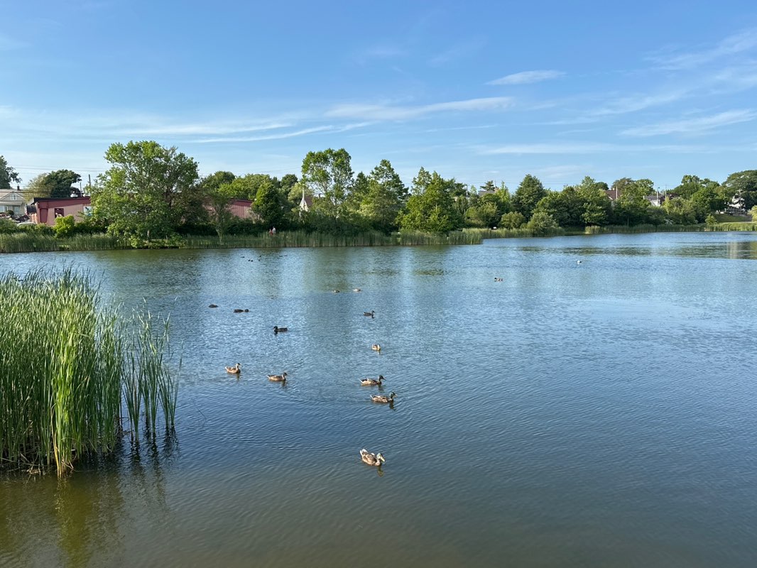 walking near me in Kiwanis Park in summer