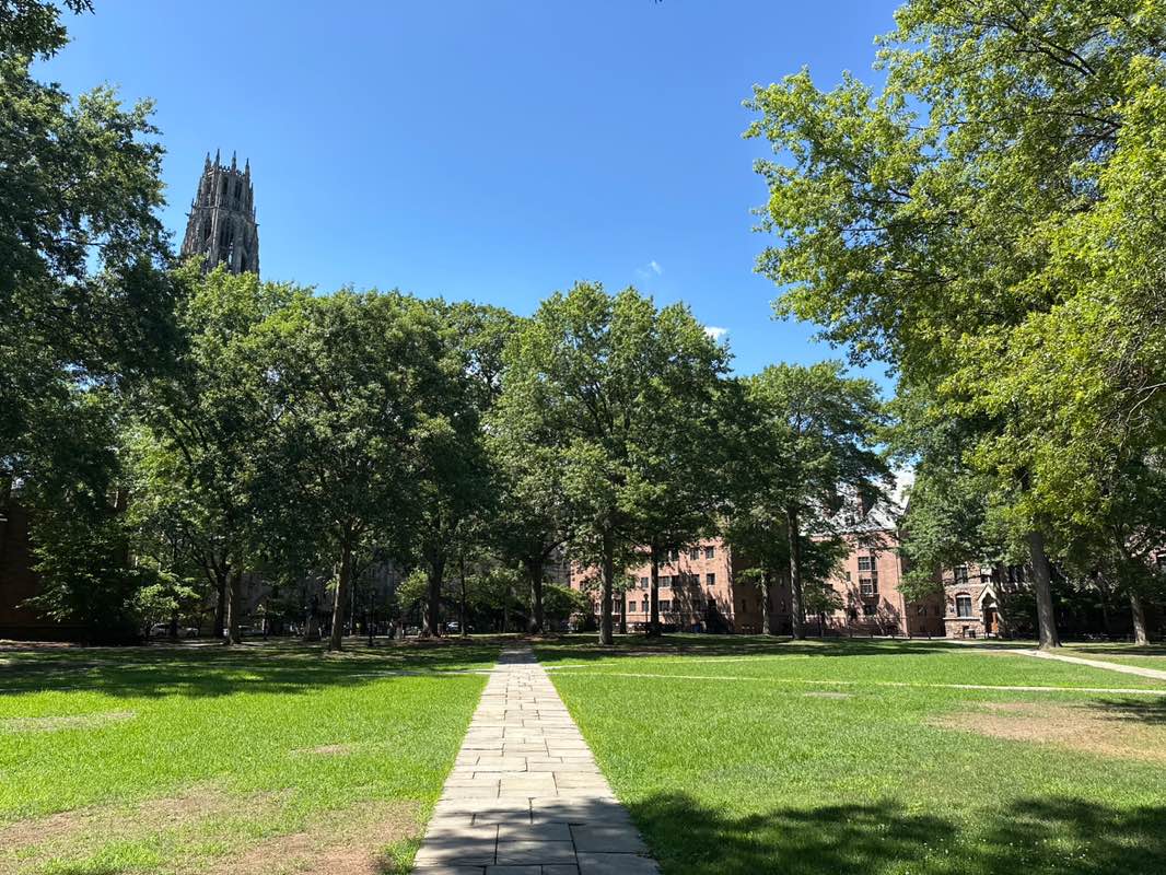 walking near me in Old Campus in summer