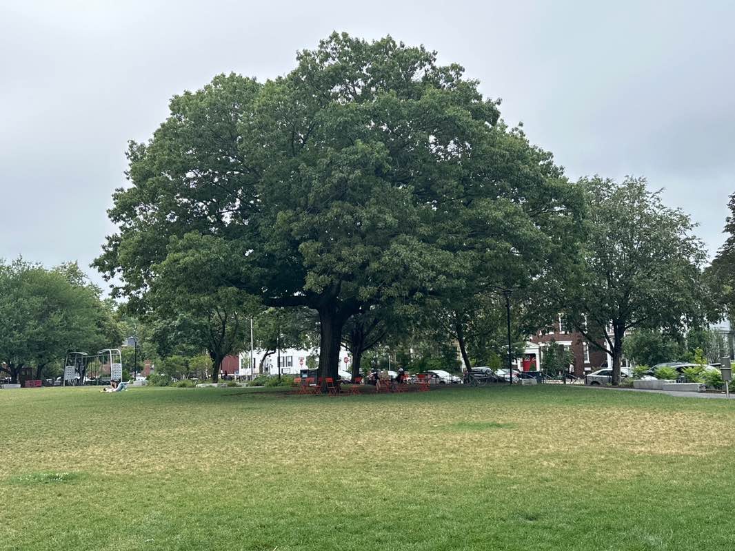 walking near me in Sennott Park in summer