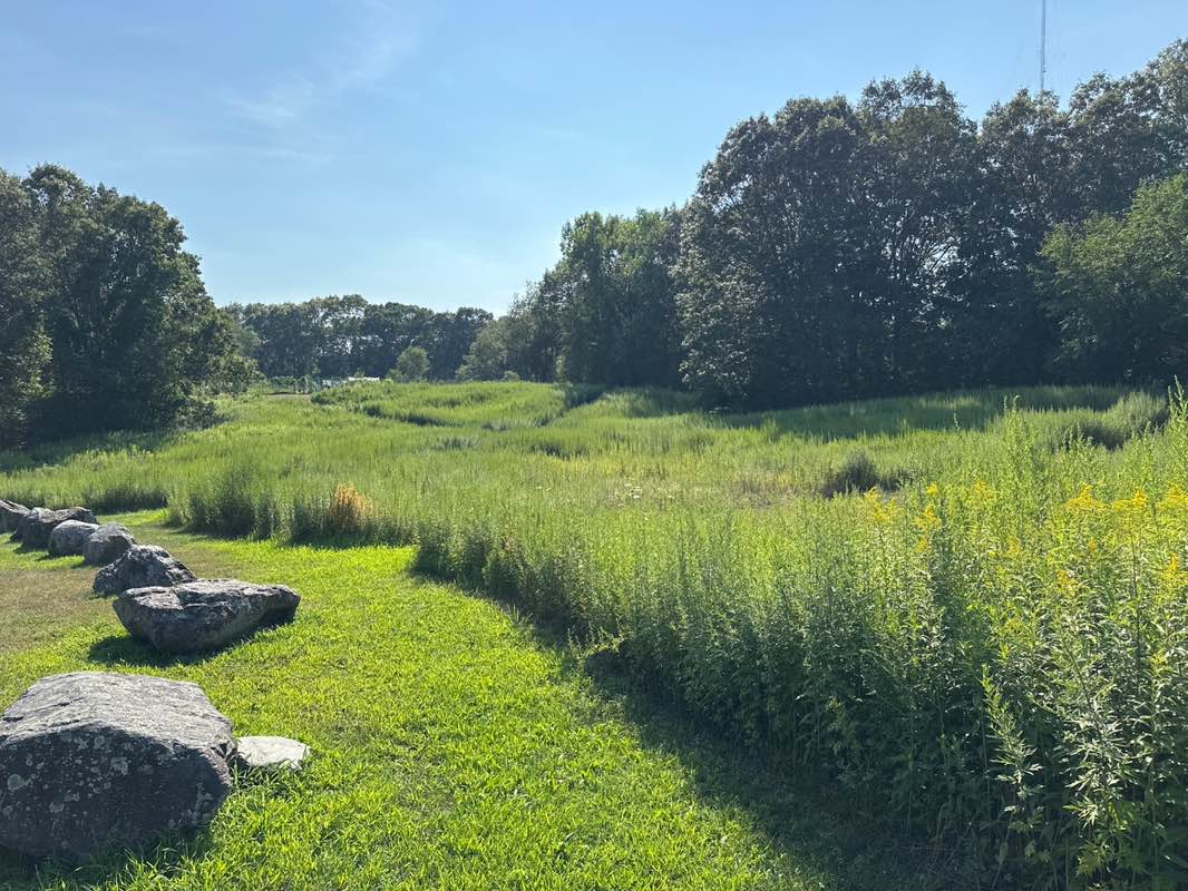walking near me in Nahanton Park in autumn