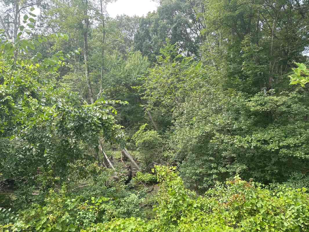 walking near me in Fountain Development in autumn