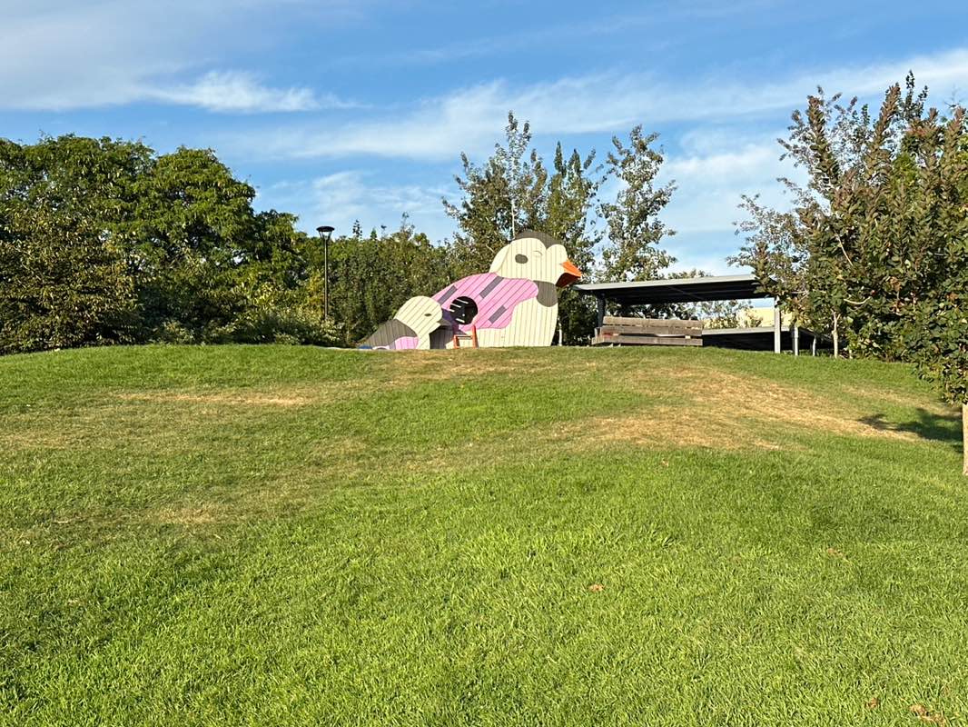 walking near me in Timothy J. Toomey, Jr. Park in autumn