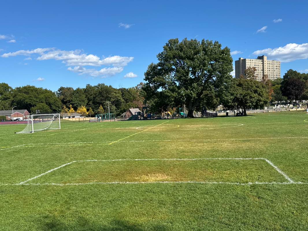 walking near me in Grove Street Playground in autumn