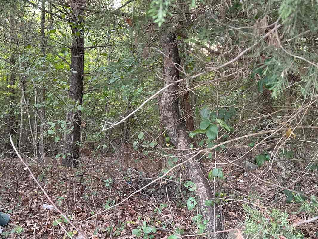 walking near me in Schepis Property in autumn