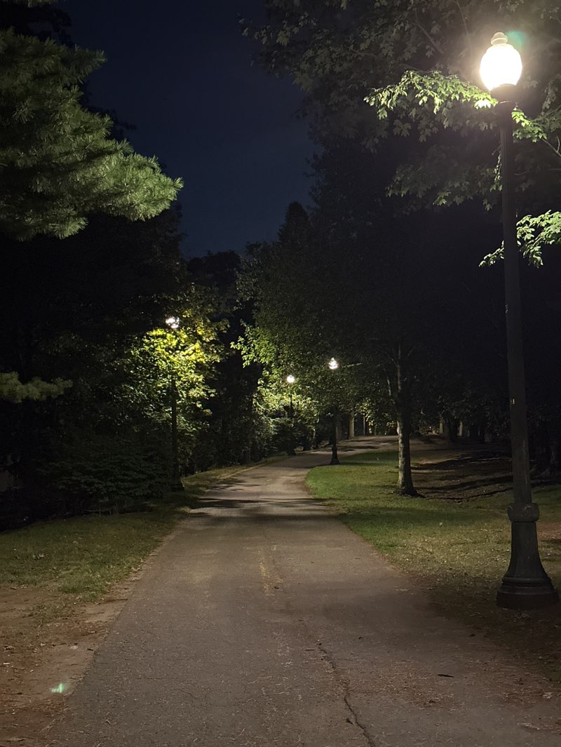 walking near me in Alewife Linear Park in autumn