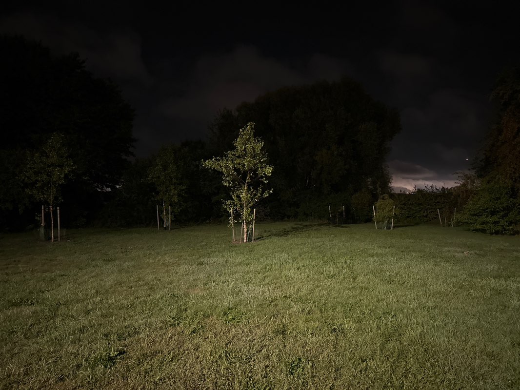 walking near me in Jacob's Park in autumn