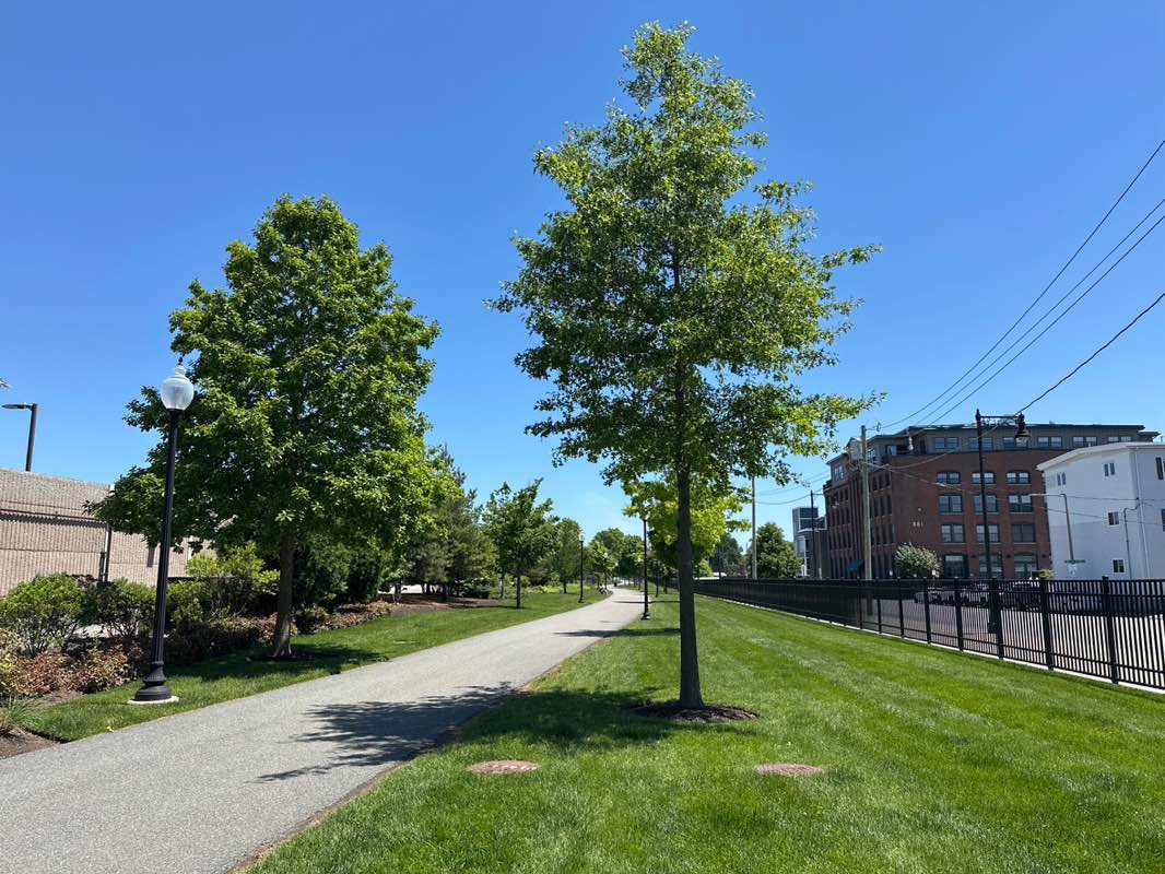 walking near me in Thomas J. Butler Memorial Park in summer