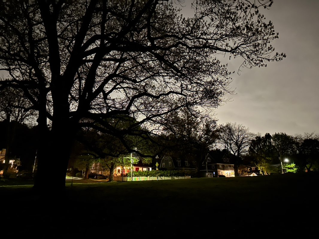 walking near me in Highland Park in spring