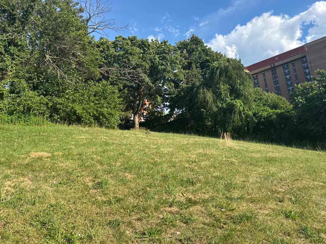 walking near me in Pitkin Park in summer