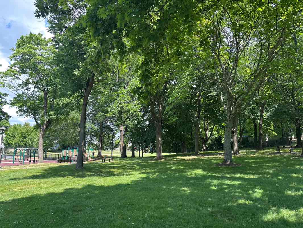 walking near me in Stearns Playground in summer