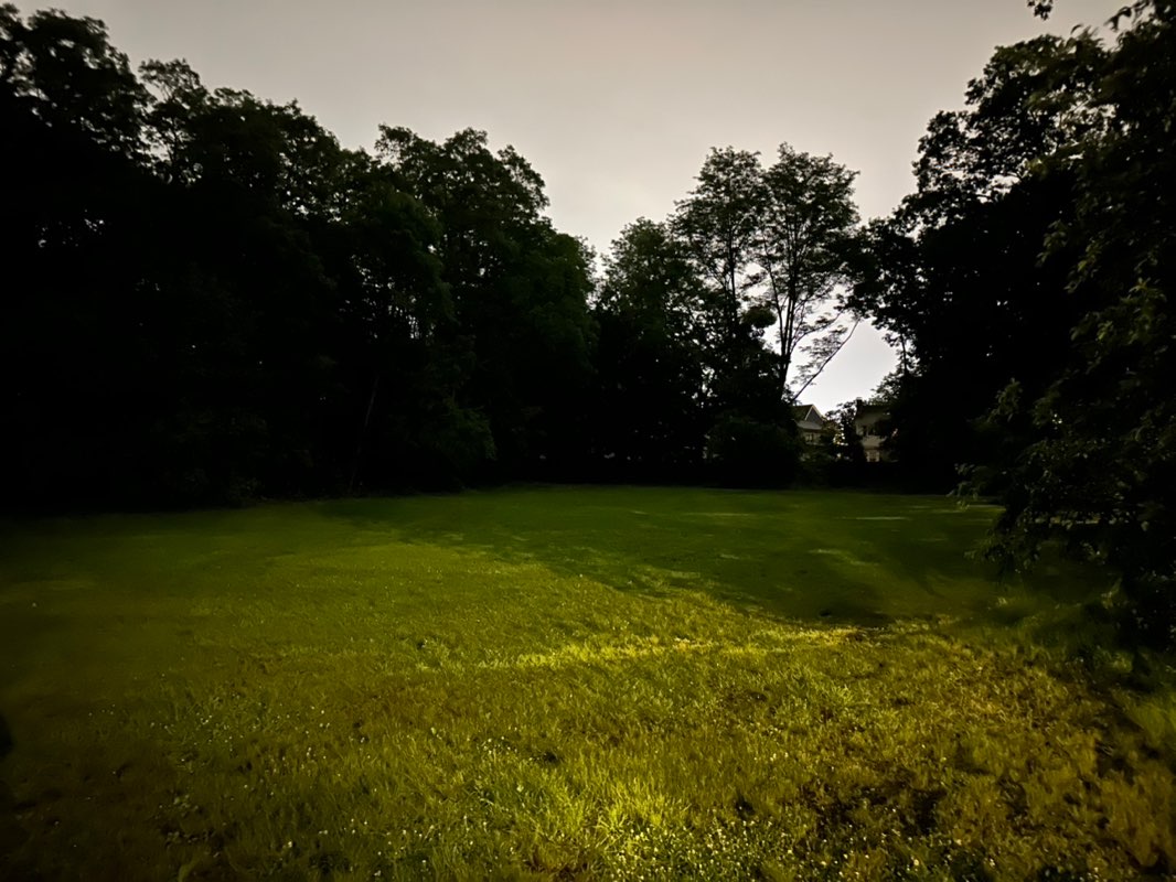 walking near me in Thomas Brooks Park in summer
