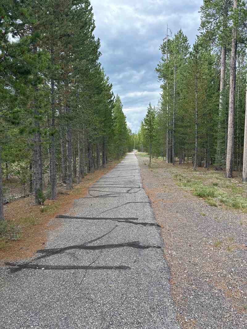 walking near me in Linear Park in summer